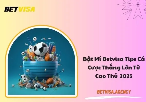 Betvisa tips cá cược