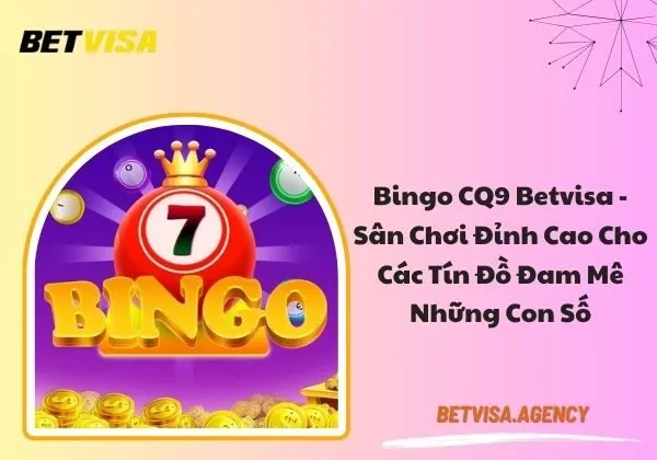 Bingo CQ9 Betvisa