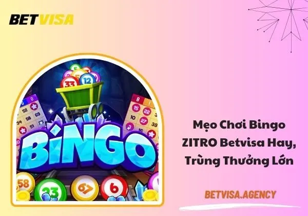 Bingo ZITRO Betvisa