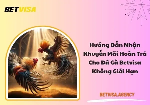 Hoàn trả cho đá gà Betvisa