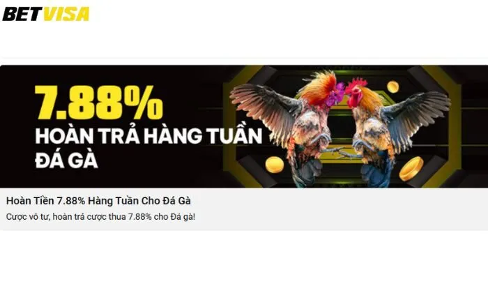 Hoàn trả hàng tuần đá gà 