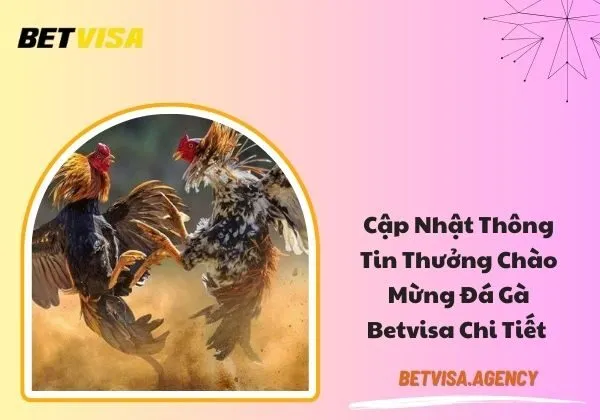 thưởng chào mừng đá gà Betvisa