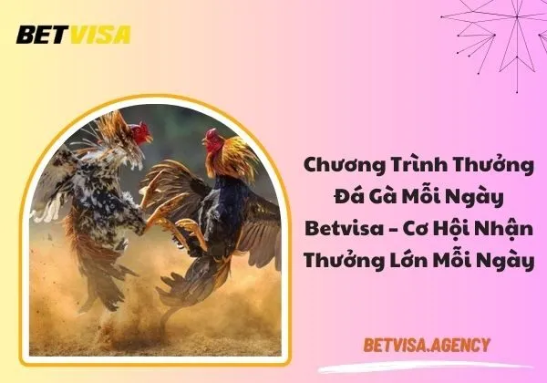 thưởng đá gà mỗi ngày Betvisa